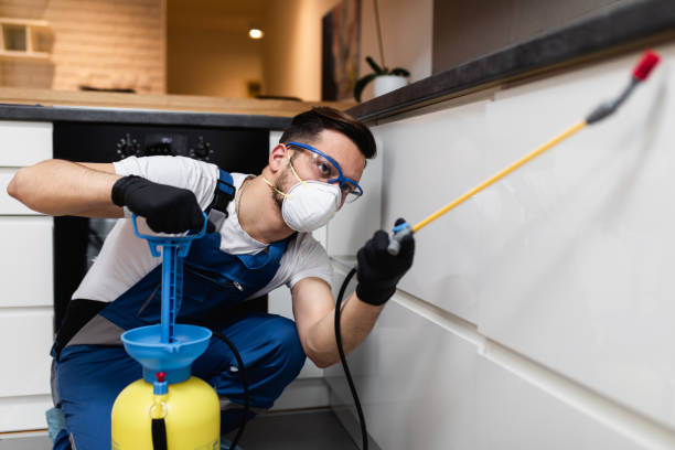 Best Termite Control Services  in Loch Sheldrake, NY