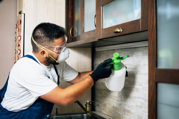 Best Affordable Pest Control Services  in Loch Sheldrake, NY