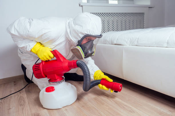 Best Termite Control Services  in Loch Sheldrake, NY