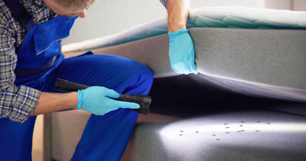 Best Local Pest Control Services  in Loch Sheldrake, NY