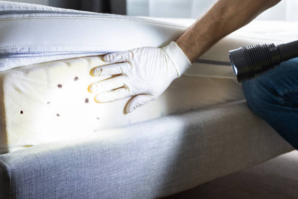 Best Pest Prevention Services  in Loch Sheldrake, NY