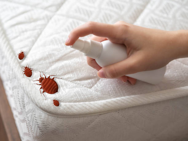 Best Emergency Pest Control  in Loch Sheldrake, NY