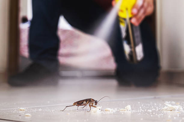 Best Pest Control for Businesses  in Loch Sheldrake, NY