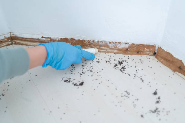 Best Pest Inspection Near Me  in Loch Sheldrake, NY