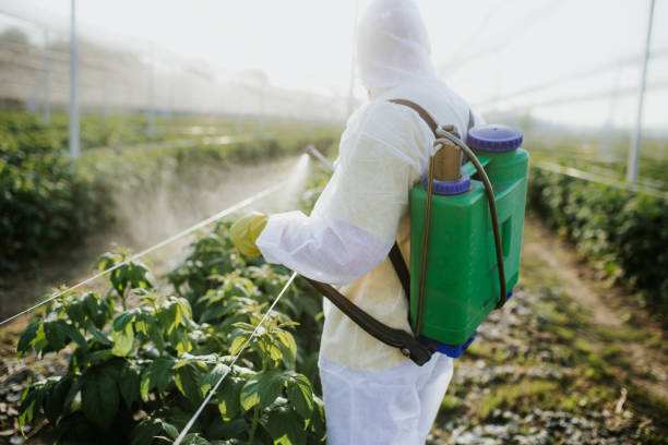 Best Best Pest Control Companies  in Loch Sheldrake, NY